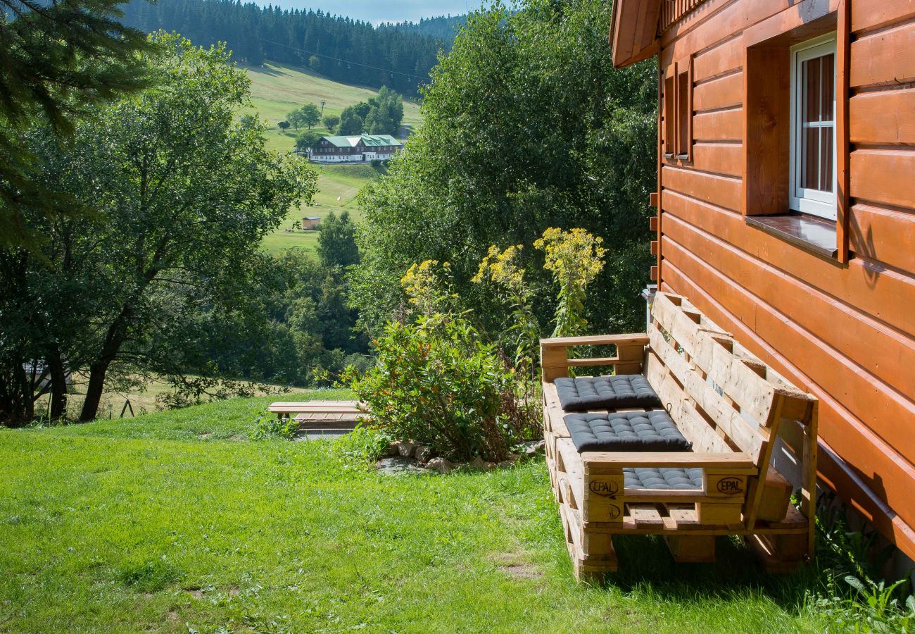 Villa in Pec pod Snežkou - Pec pod Snezkou KPP270