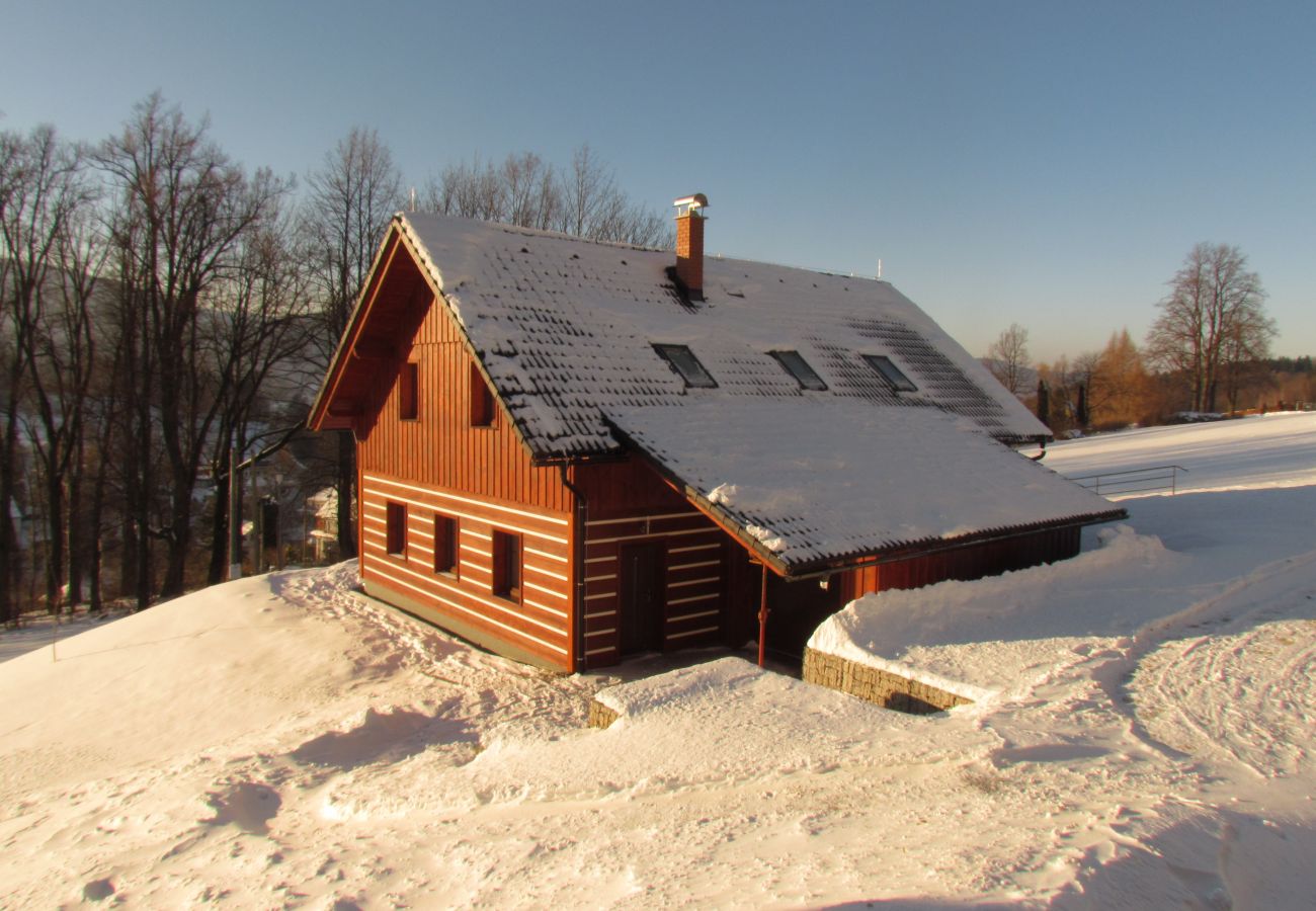 Villa in Lázne Libverda - Lazne Libverda LLP015