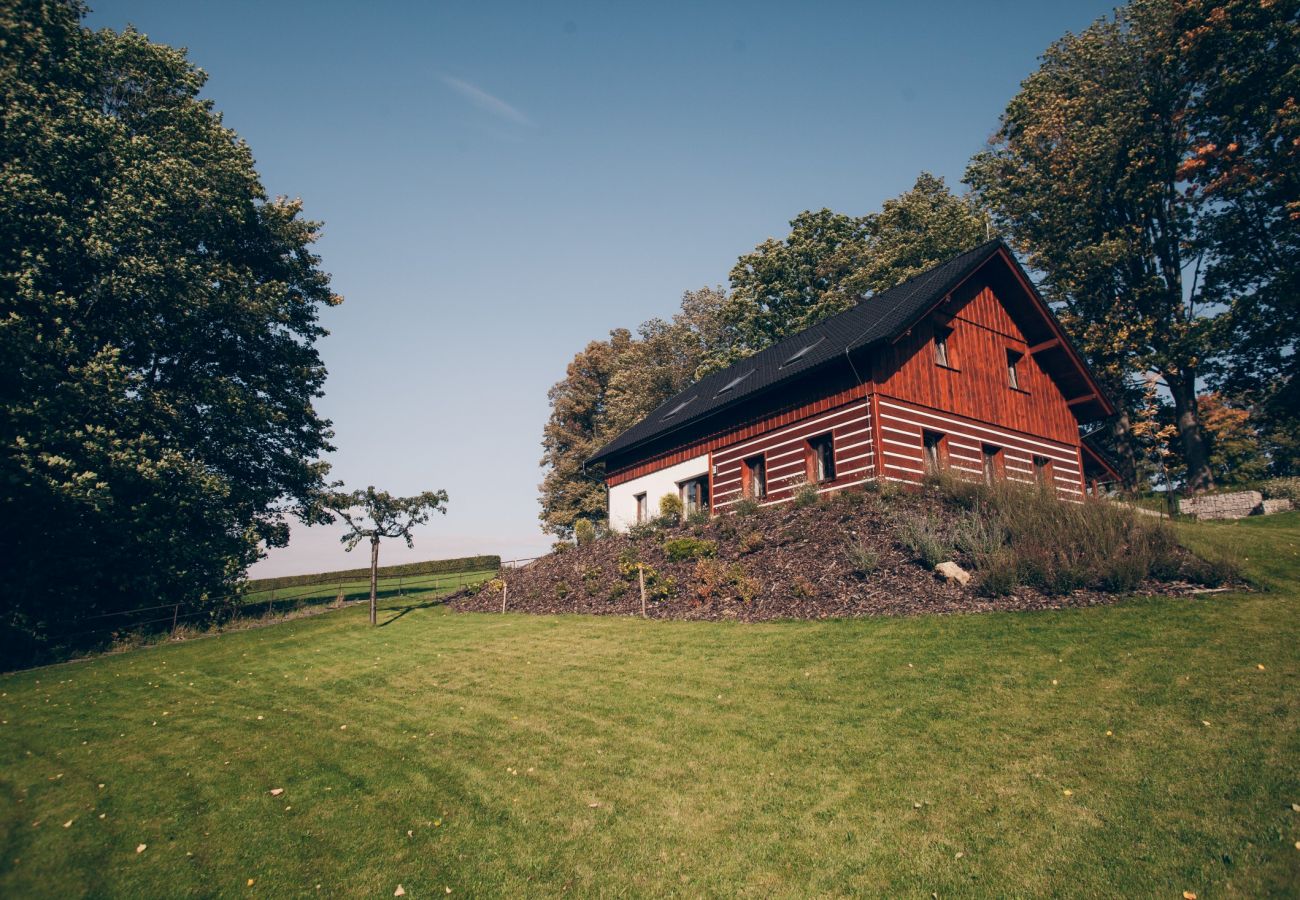 Villa in Lázne Libverda - Lazne Libverda LLP015