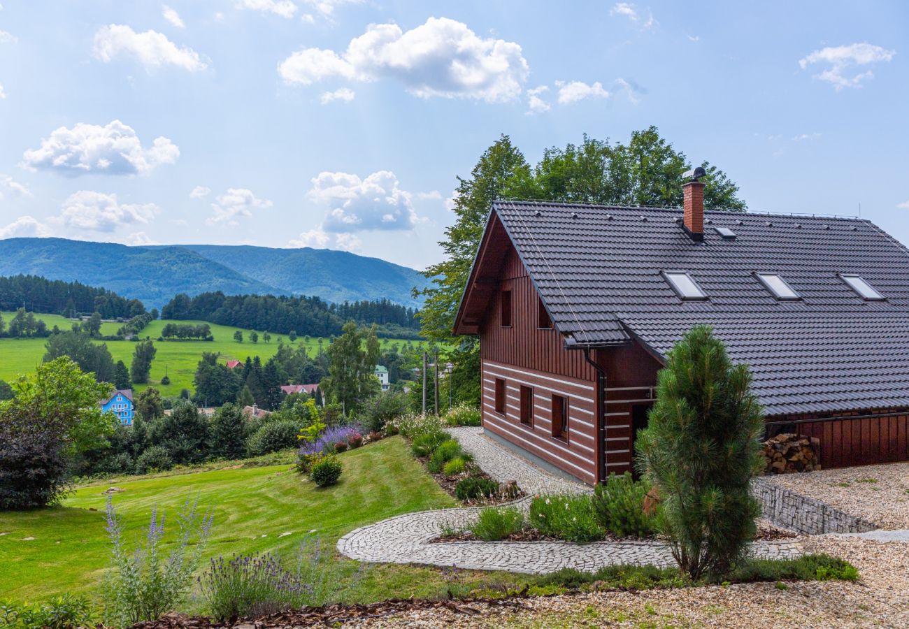 Villa in Lázne Libverda - Lazne Libverda LLP015