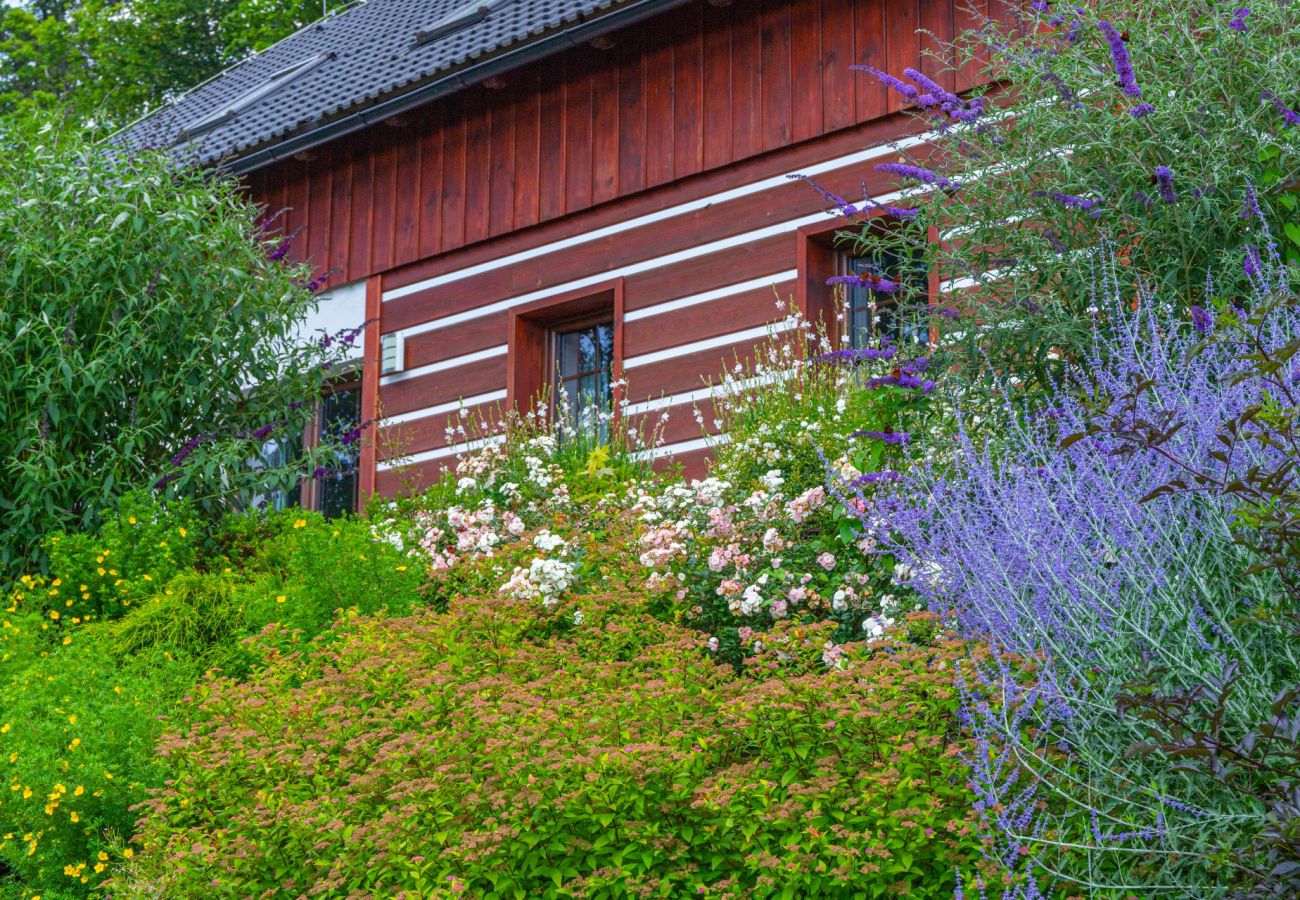 Villa in Lázne Libverda - Lazne Libverda LLP015