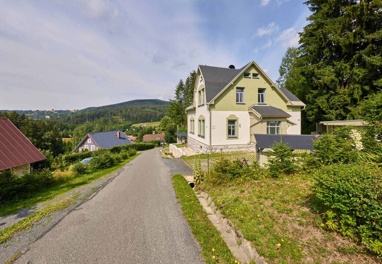 Villa in Albrechtice v Jizerských horách - Albrechtice LAT085