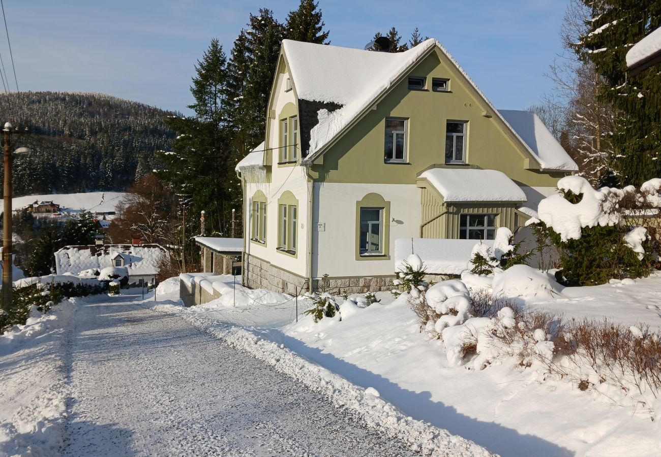 Villa in Albrechtice v Jizerských horách - Albrechtice LAT085