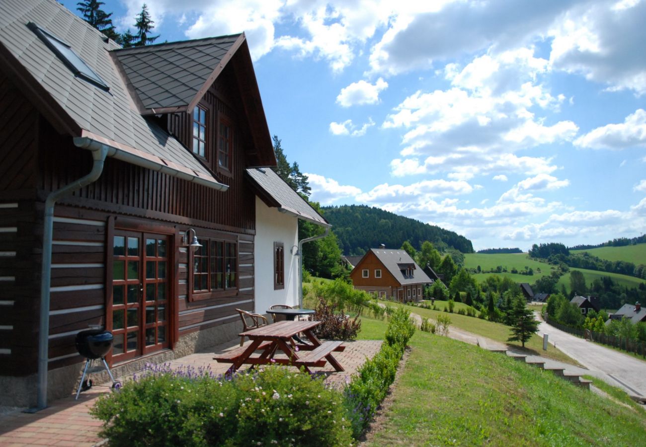 Villa in Vidochov - Stupna KSF095