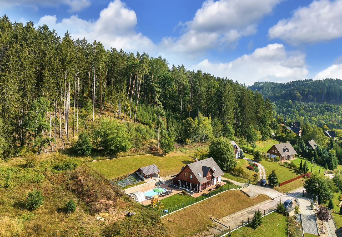 Villa in Vidochov - Stupna KSF095