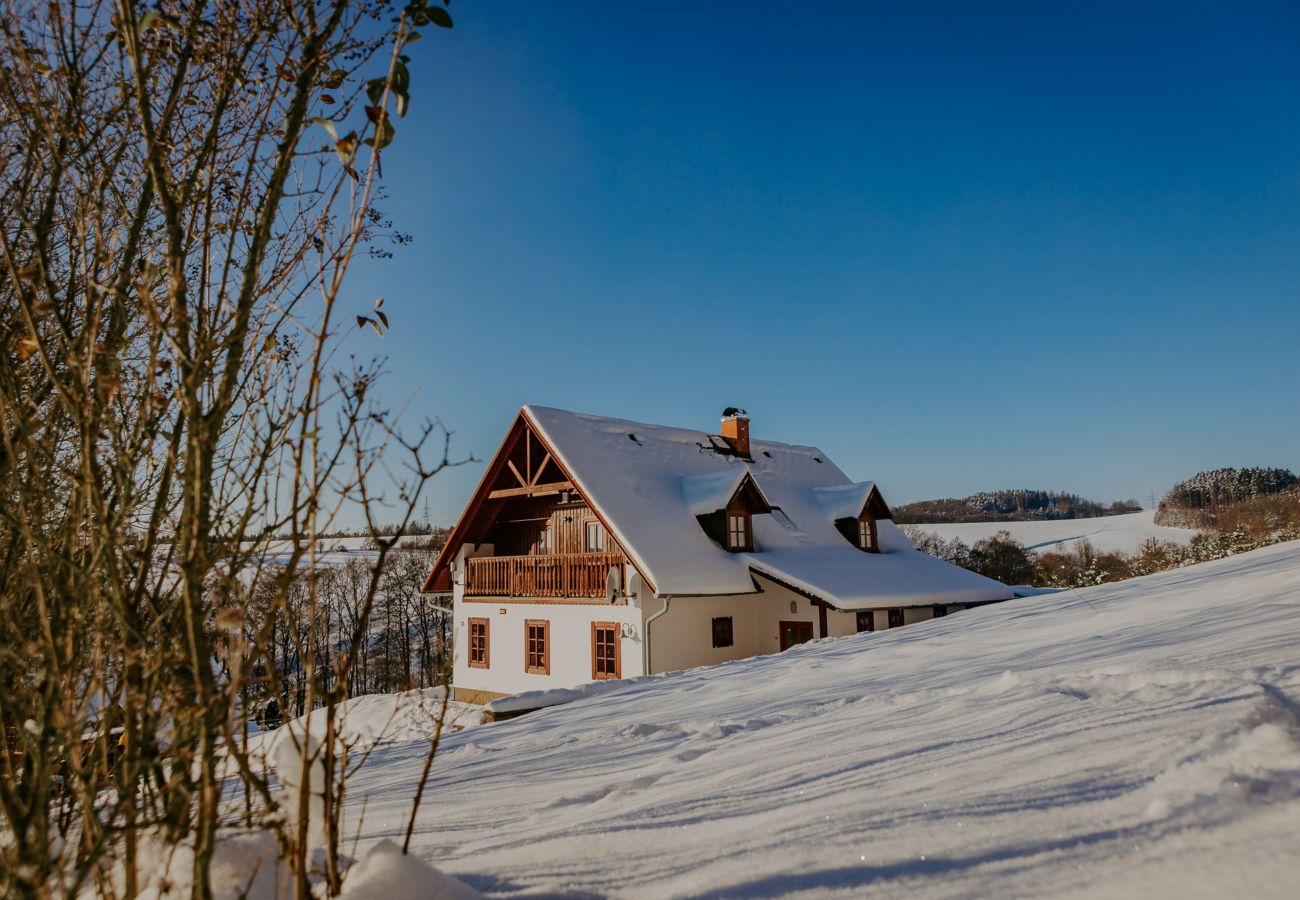 Villa in Vidochov - Stupna KSF095