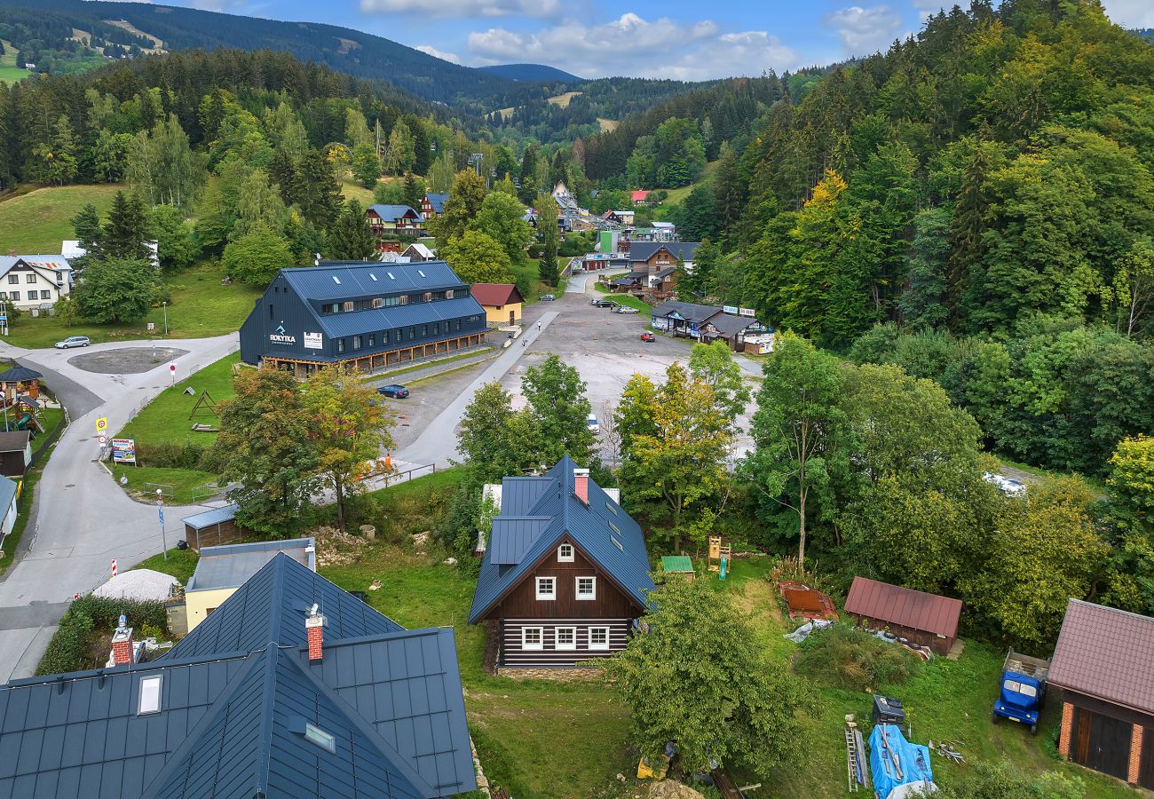 Villa in Rokytnice nad Jizerou - Rokytnice KRL470