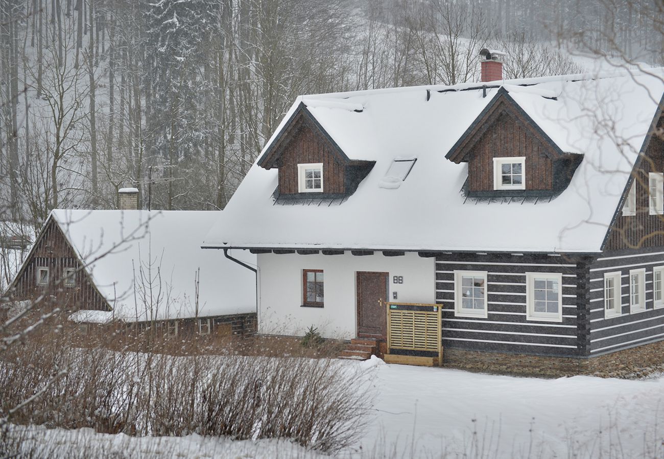 Villa in Rokytnice nad Jizerou - Rokytnice KRL470