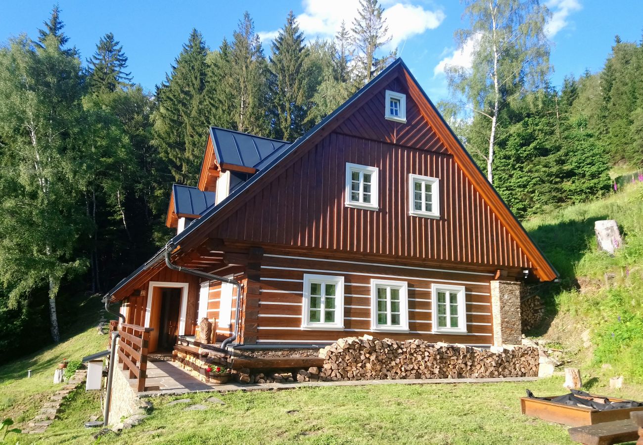 Villa in Rokytnice nad Jizerou - Rokytnice KRM450