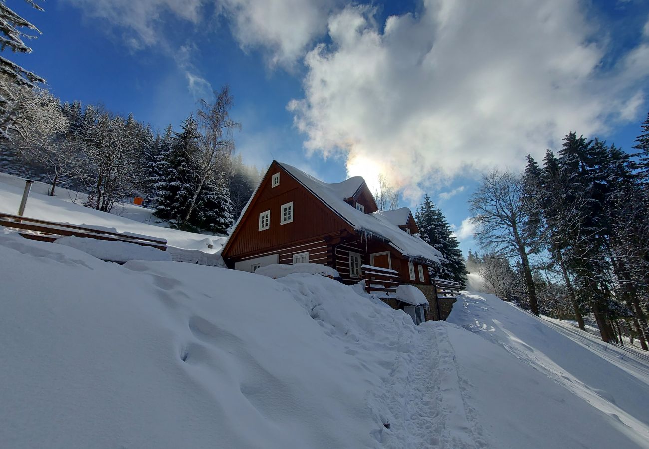 Villa in Rokytnice nad Jizerou - Rokytnice KRM450