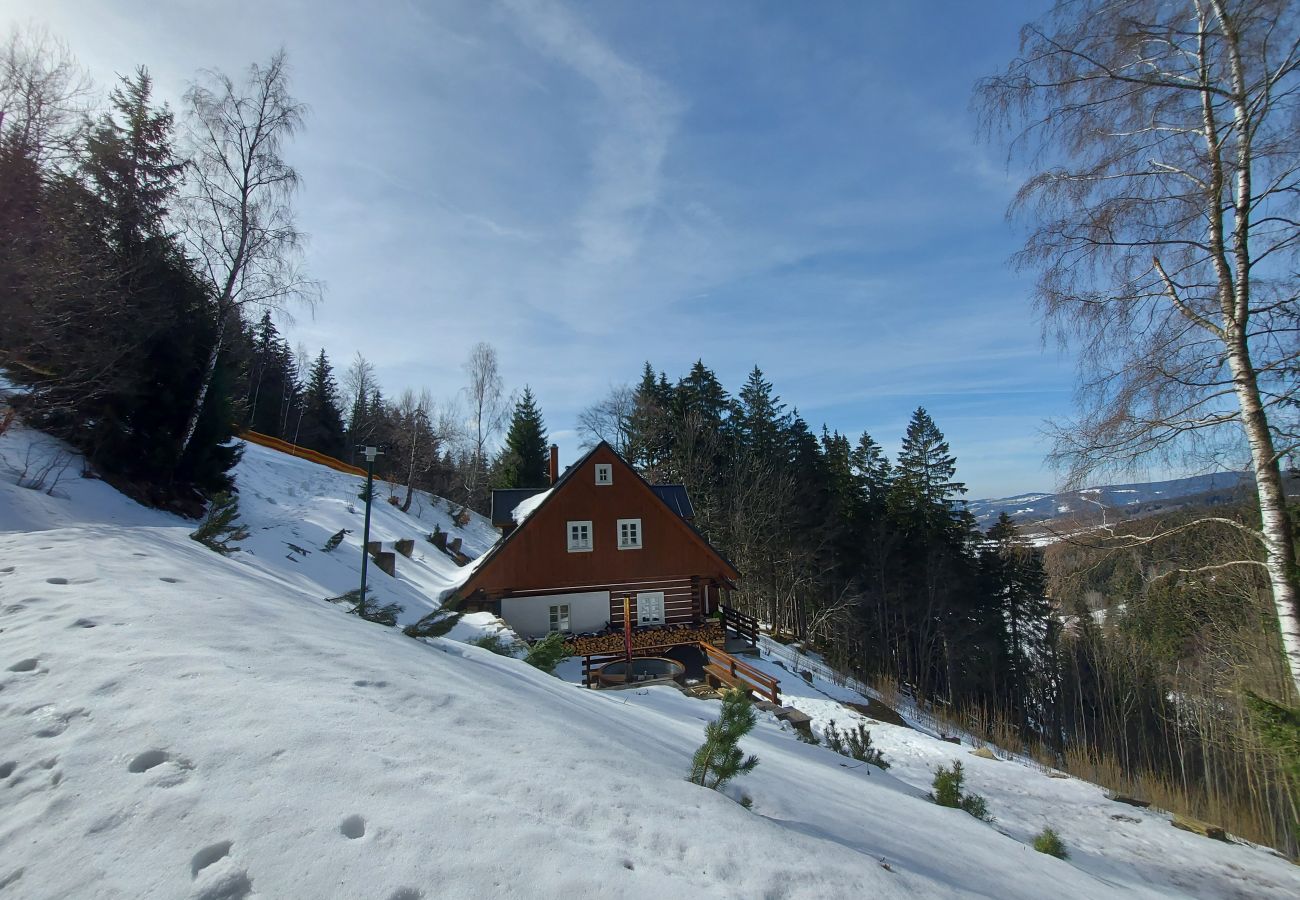 Villa in Rokytnice nad Jizerou - Rokytnice KRM450