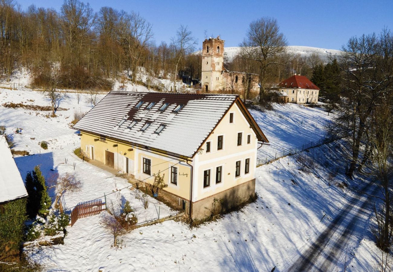 Villa in Rudník - Rudnik KRC070