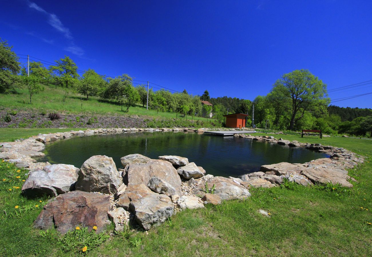 Villa in Býšovec - Pernstejn VPM019