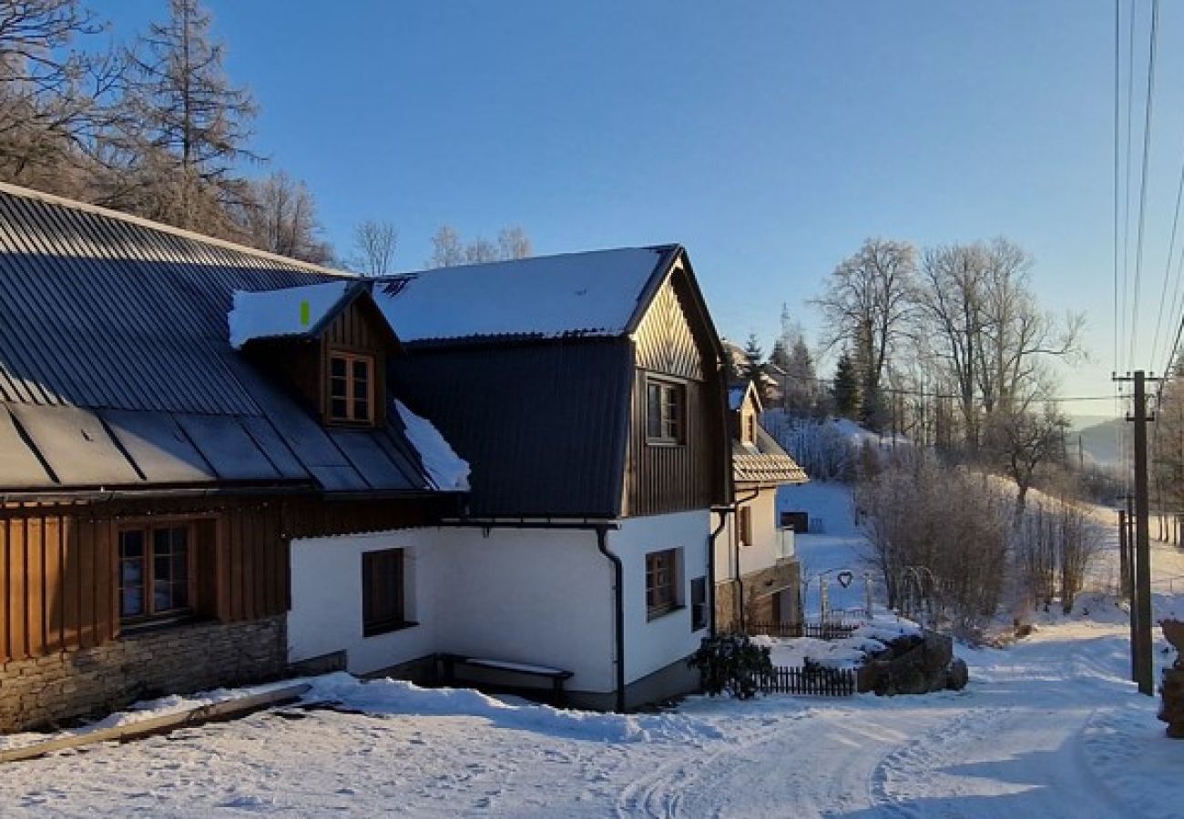 Appartement in Vysoké nad Jizerou - Vysoke nad Jizerou KDS007