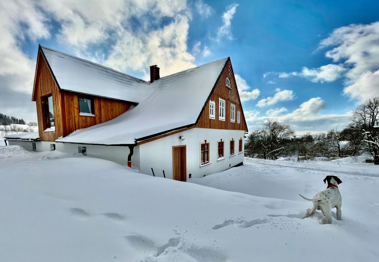 Villa in Víchová nad Jizerou - Víchová nad Jizerou LVV033