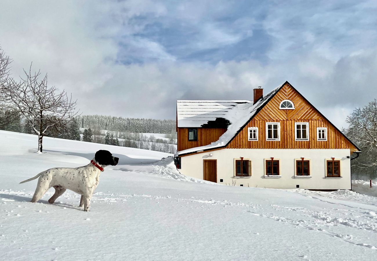 Villa in Víchová nad Jizerou - Víchová nad Jizerou LVV033