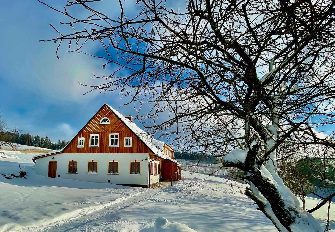 Villa in Víchová nad Jizerou - Víchová nad Jizerou LVV033