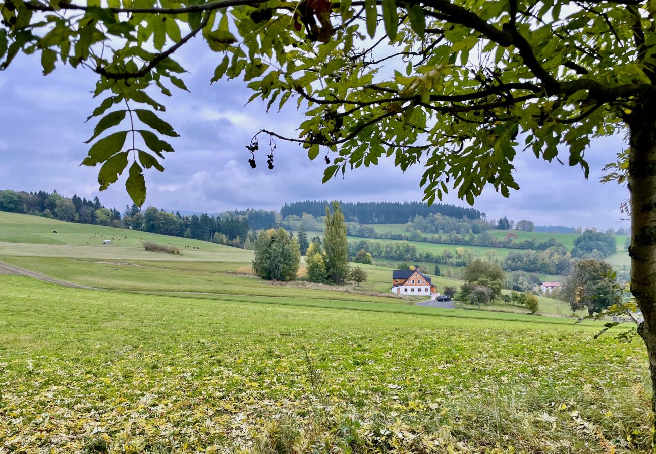 Villa in Víchová nad Jizerou - Víchová nad Jizerou LVV033