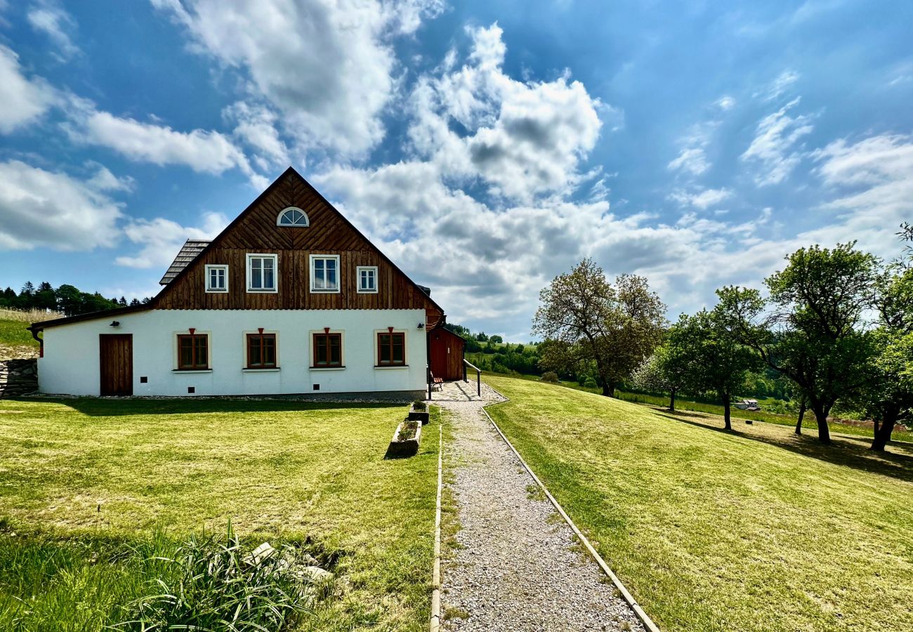 Villa in Víchová nad Jizerou - Víchová nad Jizerou LVV033